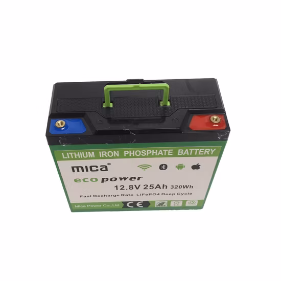 中国バッテリー工場 Lifepop4 バッテリー パック 12V 24V 48V